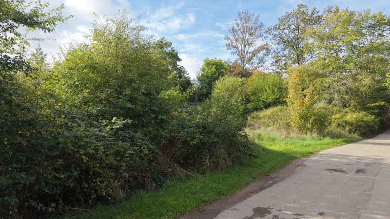 Property image number 8