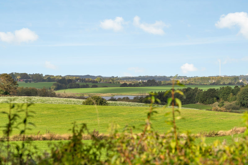 Property image number 4