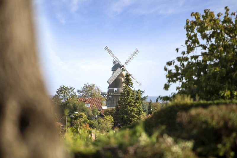 Property image number 7