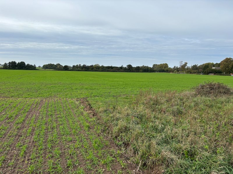 Property image number 5