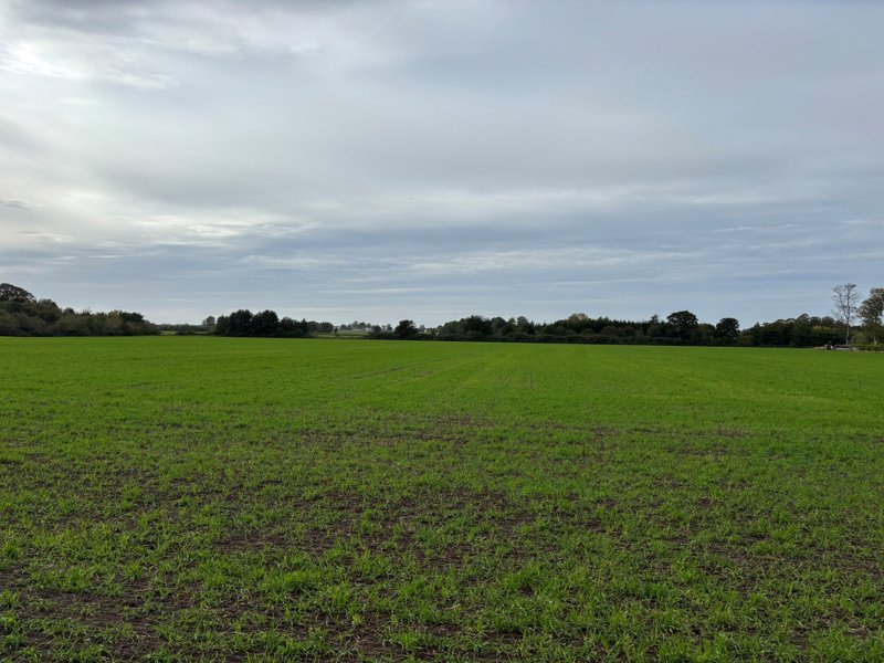 Property image number 3