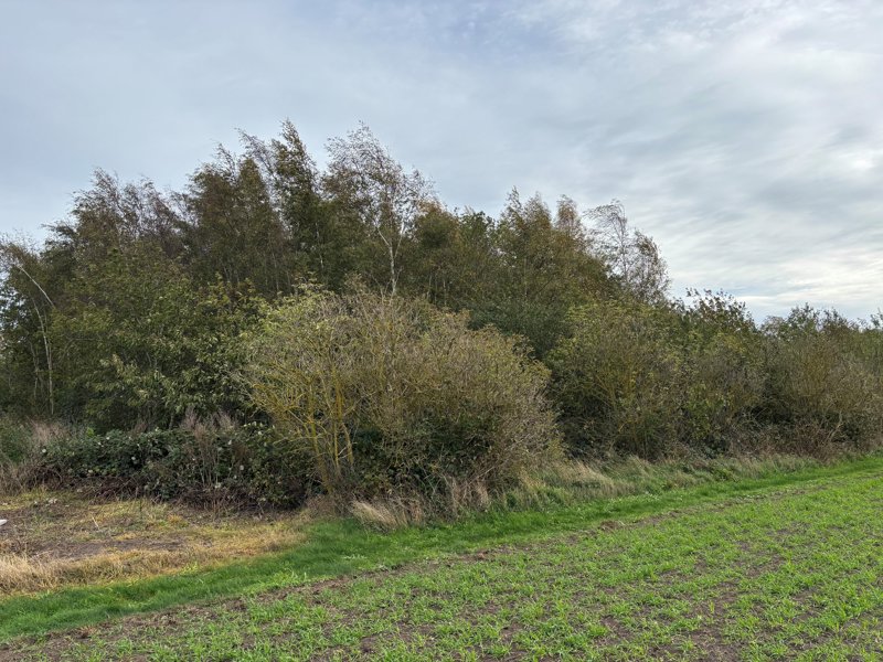 Property image number 1