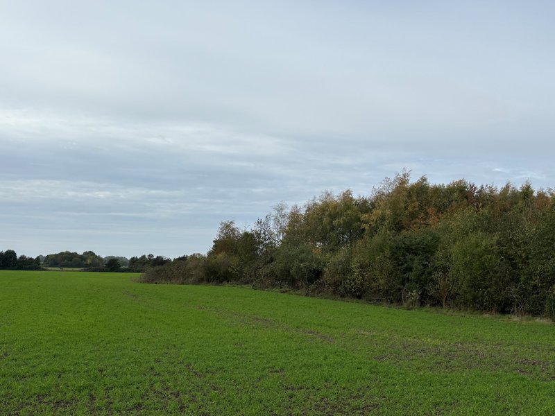 Property image number 4