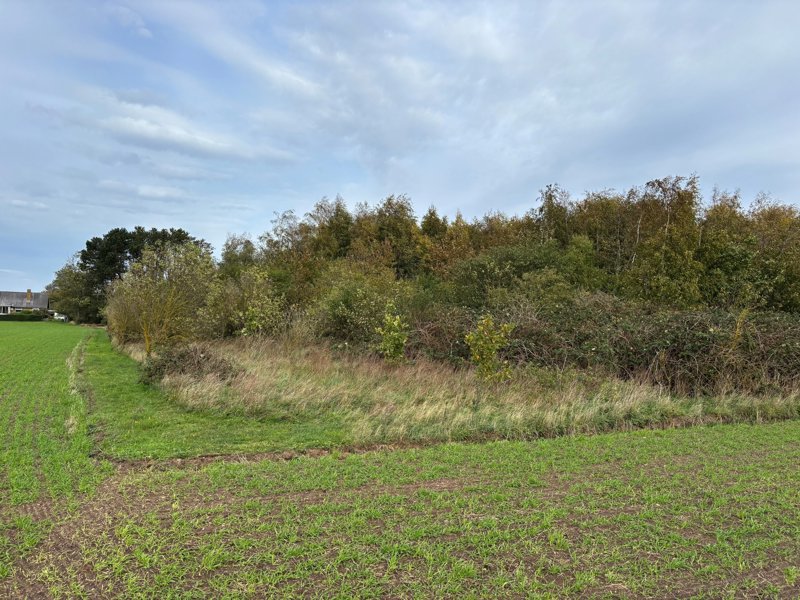 Property image number 2