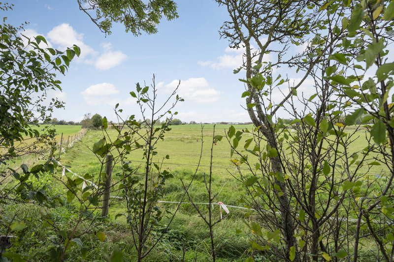 Property image number 3