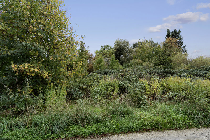 Property image number 5