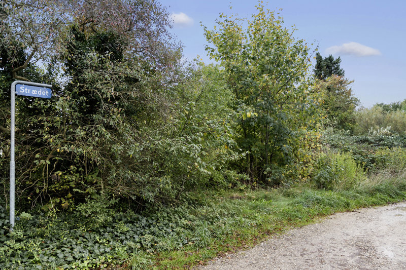 Property image number 4