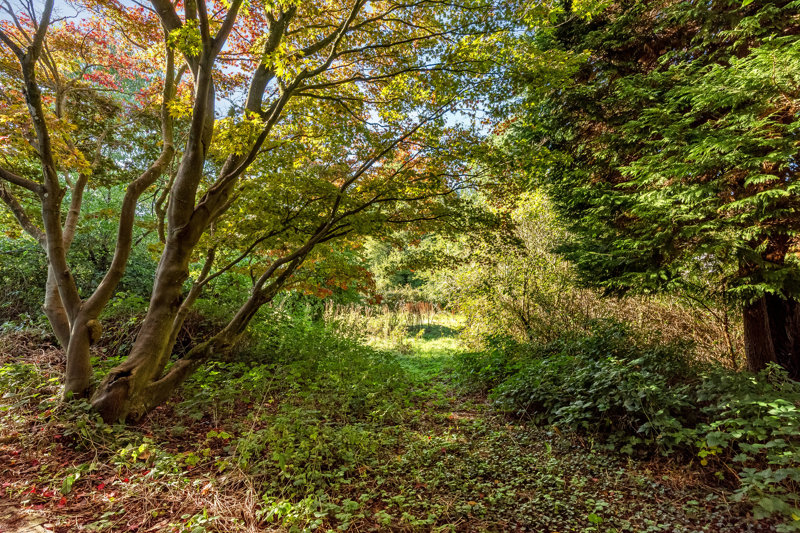 Property image number 2
