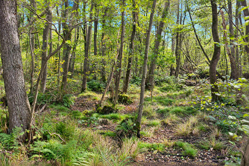 Property image number 8