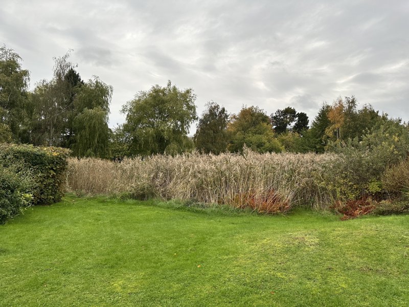 Property image number 9