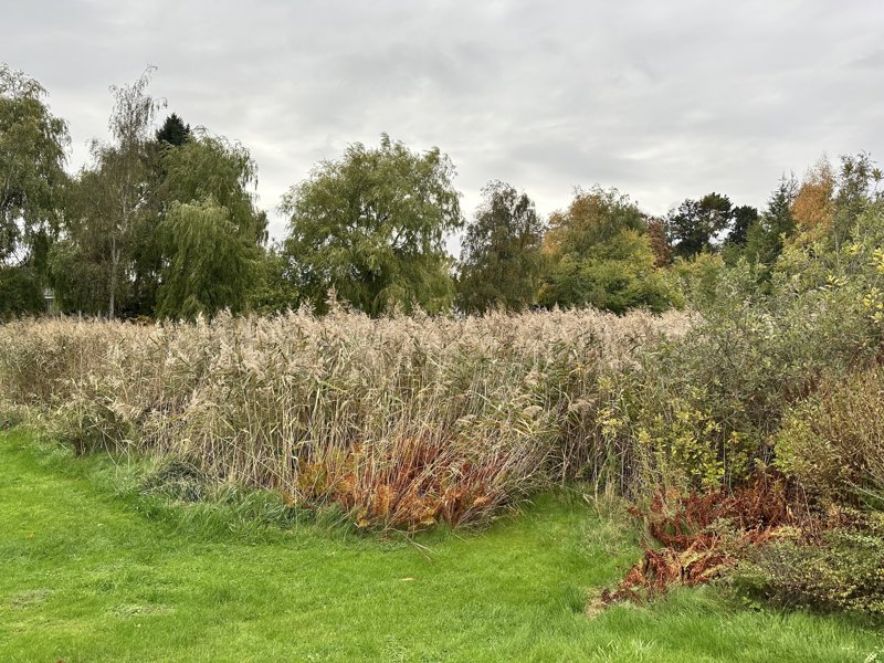 Property image number 10