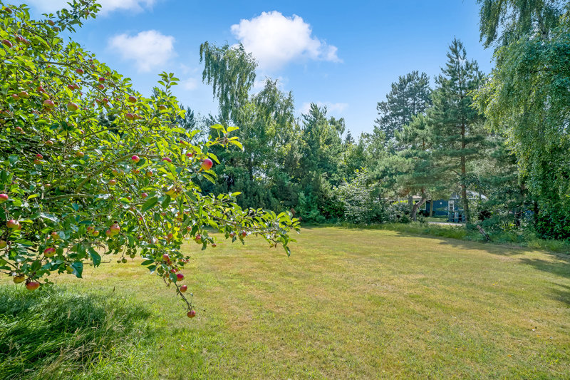 Property image number 5