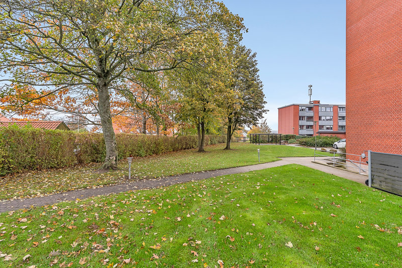 Property image number 5