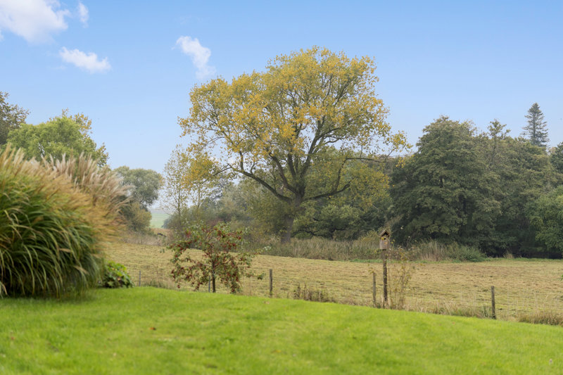 Property image number 6