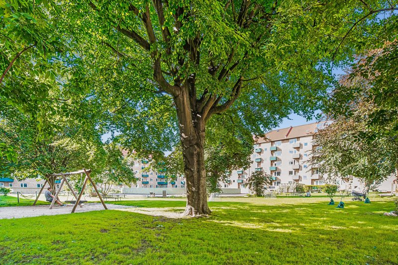 Property image number 6