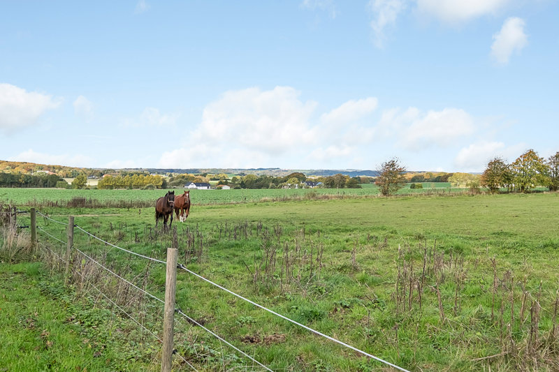 Property image number 7
