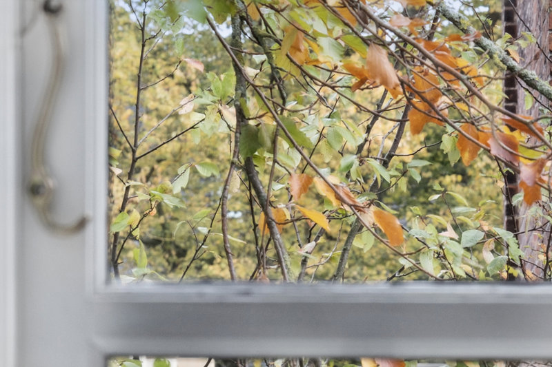 Property image number 8