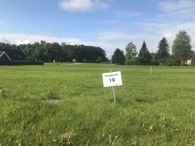 Skovhavegård 19